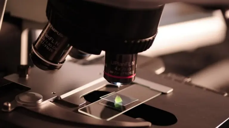 ciencia